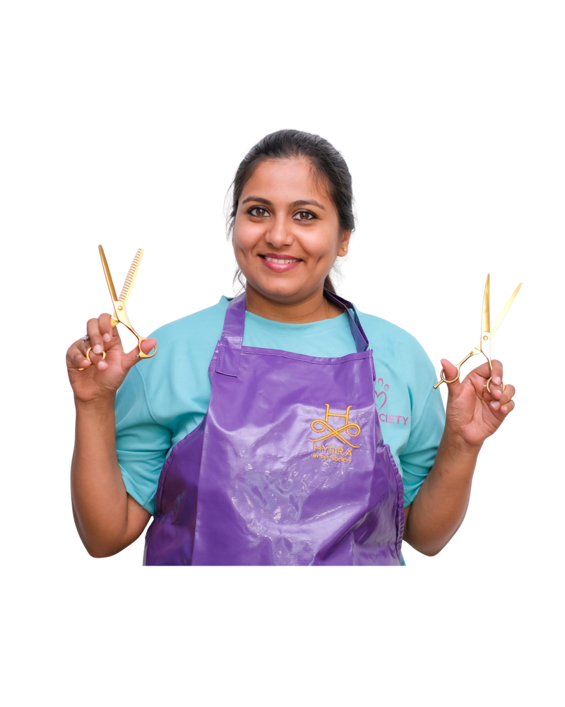 A Pet Society stylist holding grooming shears